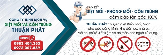 Công ty diệt côn trùng tại tphcm Thuận Phát