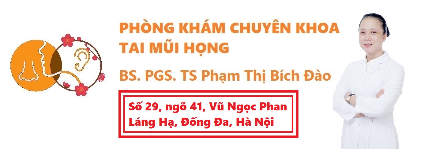 bác sĩ tai mũi họng giỏi ở hà nội - PGS.TS.BS Phạm Thị Bích Đào