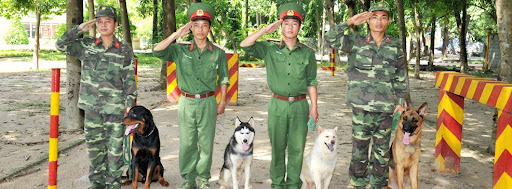 trung tâm huấn luyện chó Quân Cảnh TPHCM