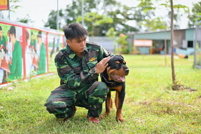 Top 7 trung tâm huấn luyện chó uy tín nhất ở TPHCM