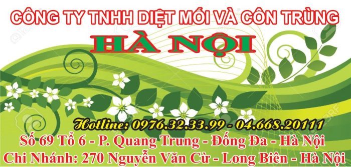 công ty diệt côn trùng ở Hà Nội - hình ảnh từ website dietmoicontrunghanoi.com