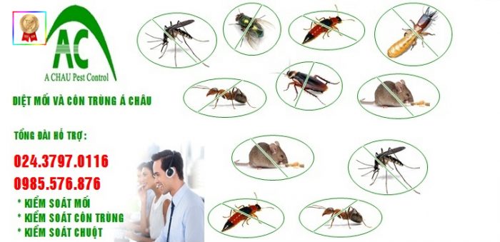công ty diệt côn trùng tại Hà Nội - nguồn: internet