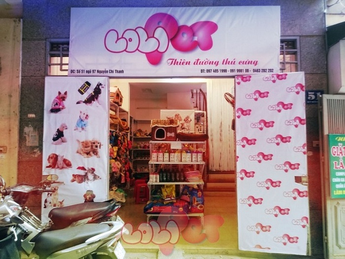 Shop bán mèo cảnh TPHCM – Lolipet | Nguồn từ trang dogparadise.vn