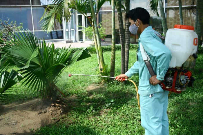 Dịch vụ diệt côn trùng Thăng Long - hình ảnh từ website dietmoithanglong.com