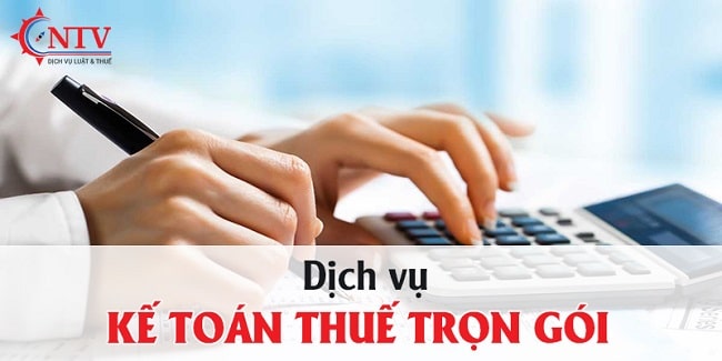 Dịch vụ báo cáo thuế trọn gói TPHCM - Công ty TNHH Đại lý thuế NTVTax | Nguồn: Công ty TNHH Đại lý thuế NTVTax