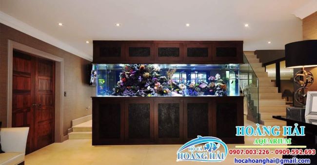 Các loại hồ cá thủy sinh Hoàng Hải đều có thể lắp đặt tại các khu dân cư, cơ sở kinh doanh, nơi công cộng | Nguồn: Hoàng Hải Aquarium