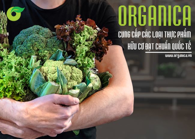 Organica có hơn 1.000 sản phẩm hữu cơ được chứng nhận từ thực phẩm tươi, khô, gia vị, ngũ cốc, sữa, gạo hoặc nước trái cây | Nguồn: Organica