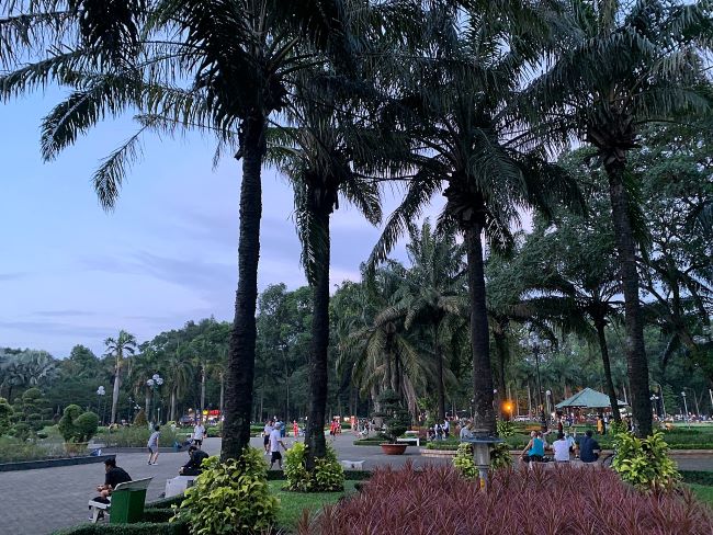 Công viên Gia Định có gần 700 cây xanh, gồm nhiều loại như Sọ khỉ, Lim Xẹt, Me, Bò cạp nước, ... | Nguồn: Công viên Gia Định 
