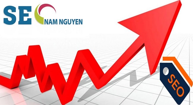 SEO Nam Nguyễn là một trong những đơn vị cung cấp dịch vụ SEO chất lượng cao, uy tín nhất TPHCM | Nguồn: SEO Nam Nguyễn