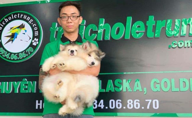 Shop chó cảnh giá rẻ tốt nhất tại TPHCM, chó thuần chủng 100% | Nguồn: Traicholetrung.com 