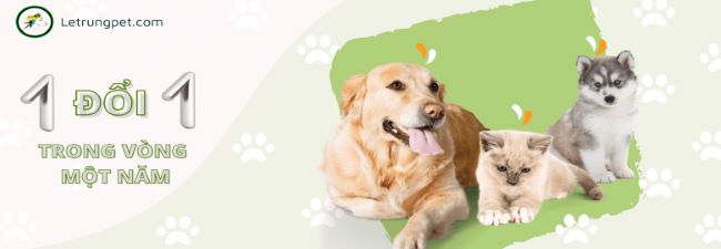 Các dịch vụ chăm sóc thú cưng, bảo hành và khuyến mãi mang lại nhiều lợi ích | Nguồn: Letrungpet.com 