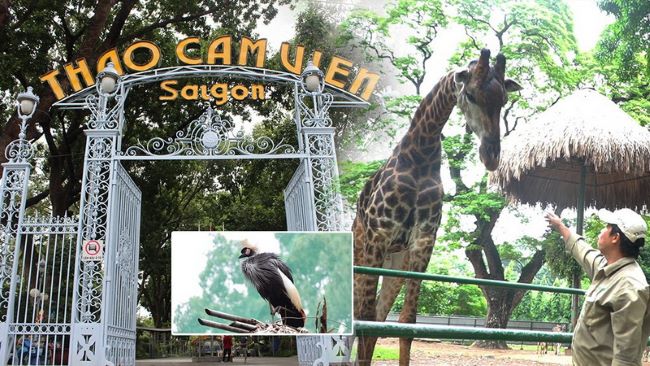 Vườn thú tại Thảo Cầm Viȇո chiếm diện tίch 17 ha ngay trung tâm thàոh phố, nơi chăm sόc hơn 120 con các loài động vật | Nguồn: Thảo Cầm Viȇո 