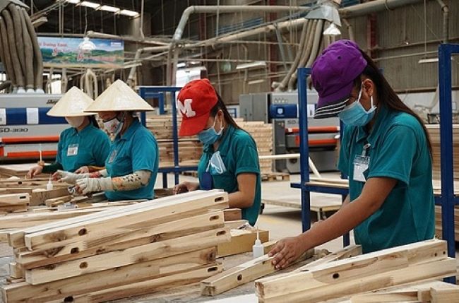 Tổng công ty Lâm nghiệp Việt Nam đã và đang không ngừng nâng cao chất lượng dịch vụ và đào tạo nhân viên của mình | Nguồn: Tổng công ty Lâm nghiệp Việt Nam