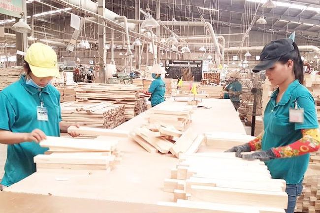 Top 8 công ty chế biến gỗ hàng đầu Việt Nam
