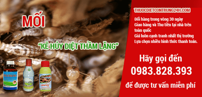 Công Ty Kiểm Soát Côn Trùng Việt Nam cam kết cung cấp cho khách hàng và môi trường dịch vụ chất lượng cao, đáng tin cậy và an toàn | Nguồn: Công Ty Kiểm Soát Côn Trùng Việt Nam