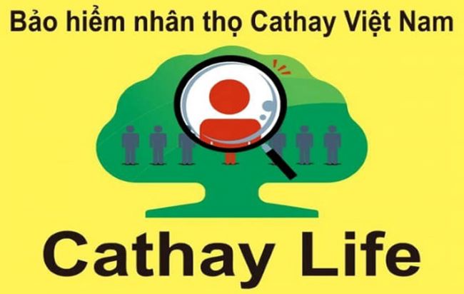 Bảo hiểm của Cathay Việt Nam được đánh giá sẽ không ngừng nâng cao vị thế trên thị trường trong những năm gần đây | Nguồn: Cathay Việt Nam