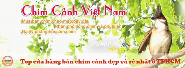 Chim Cảnh Việt Nam luôn tận tâm mang đến cho khách hàng những sản phẩm có chất lượng cao nhất với giá cả hợp lý nhất | Nguồn: Chim Cảnh Việt Nam
