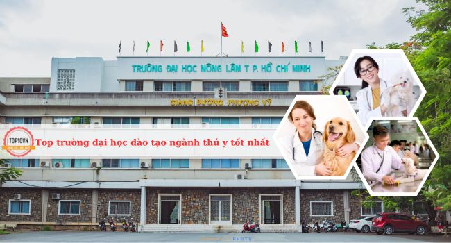 Top 10 trường đại học đào tạo ngành thú y tốt nhất Việt Nam