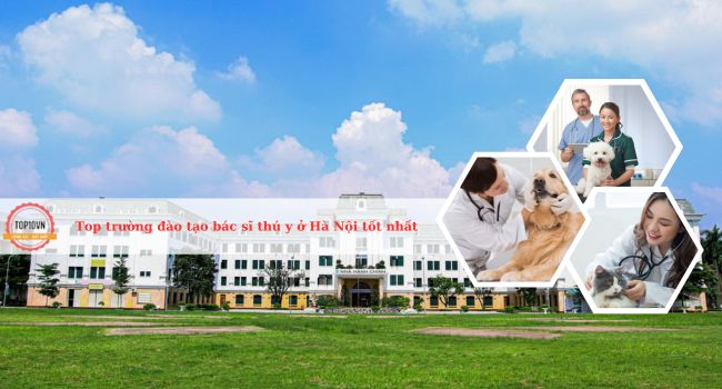 Top 6 trường đào tạo bác sĩ thú y ở Hà Nội tốt nhất