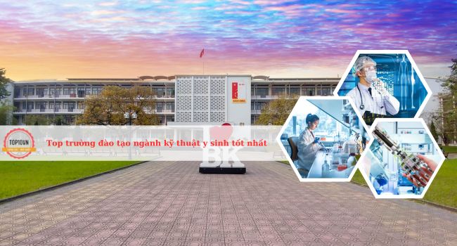 Top 8 trường đào tạo ngành kỹ thuật y sinh tốt nhất Việt Nam